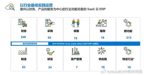 新能源企业数字化之路转型 sap erp公有云引领成功